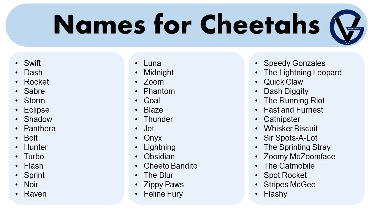 Good Names for Cheetahs Naming Ideas GrammarVocab
