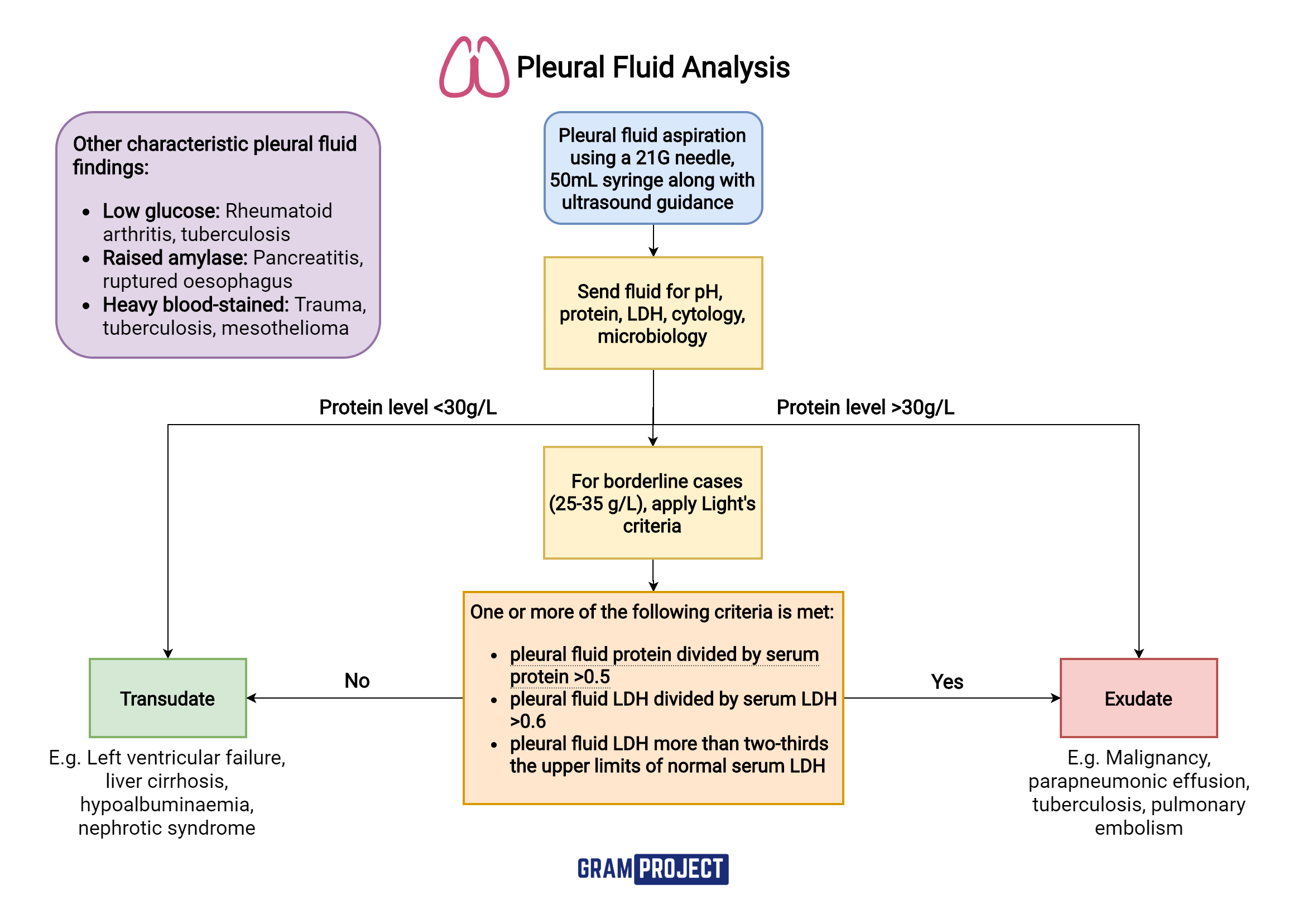 Thoracentesis Fluid