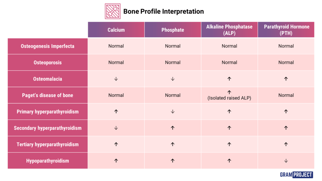 Bone Profile Interpretation Gram Project