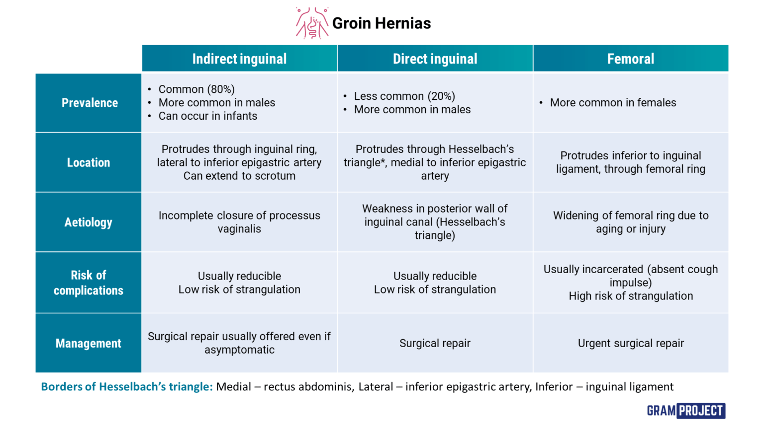 Groin Hernias - Gram Project