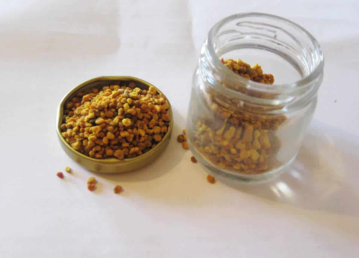 The Granary 10 Health Benefits of Bee Pollen