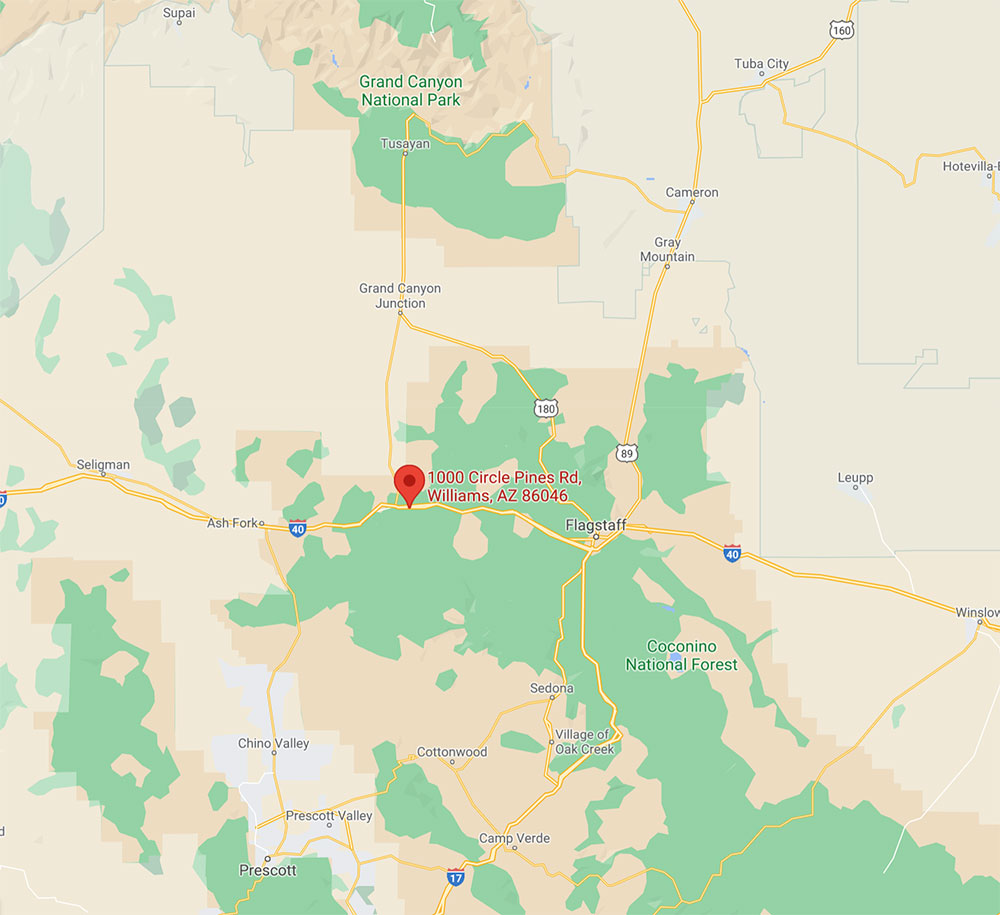 Family Fun in Williams, Arizona Grand Canyon GoKarts