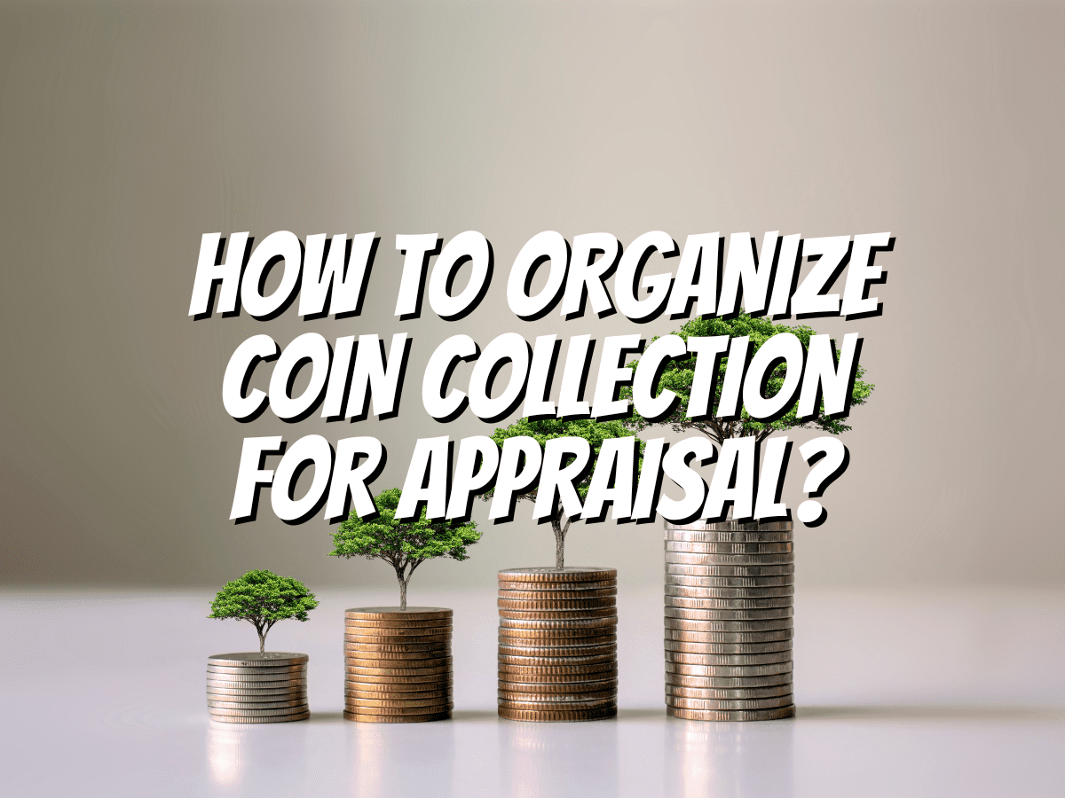 How To Organize Coin Collection For Appraisal? The Collectors Guides
