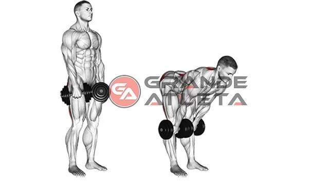 21 Exercícios para fazer em casa Treino Completo com Halteres
