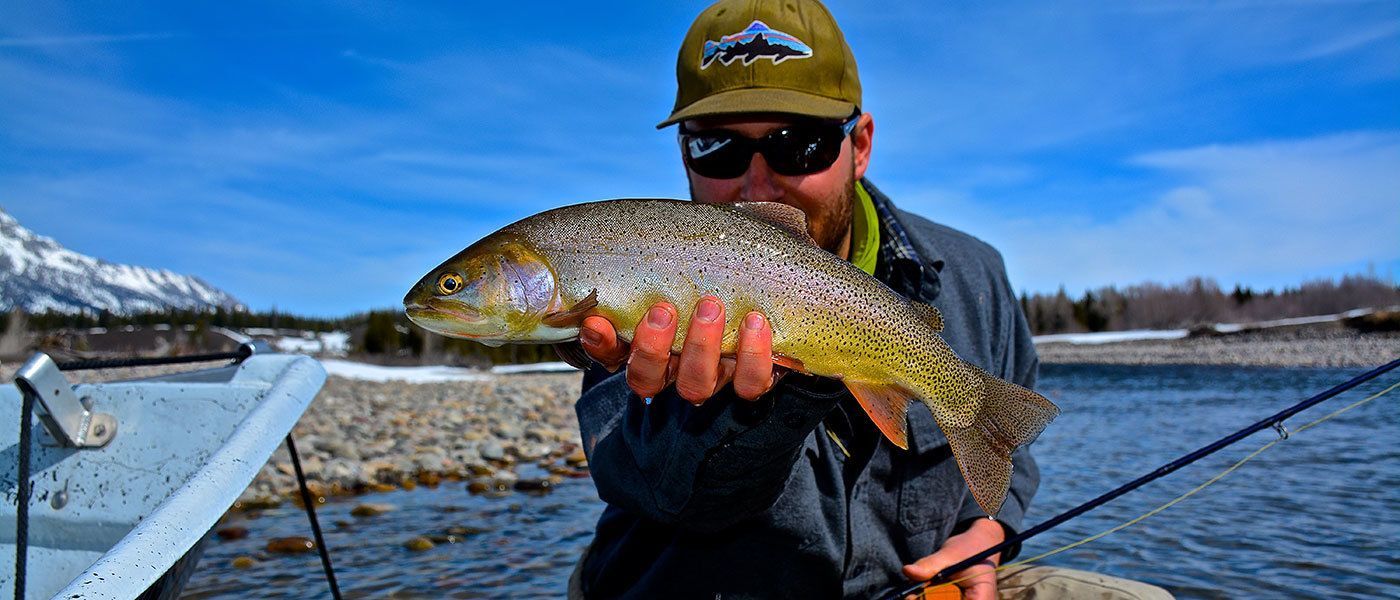 Jackson Hole & Grand Teton National Park Fly Fishing Guides GFA