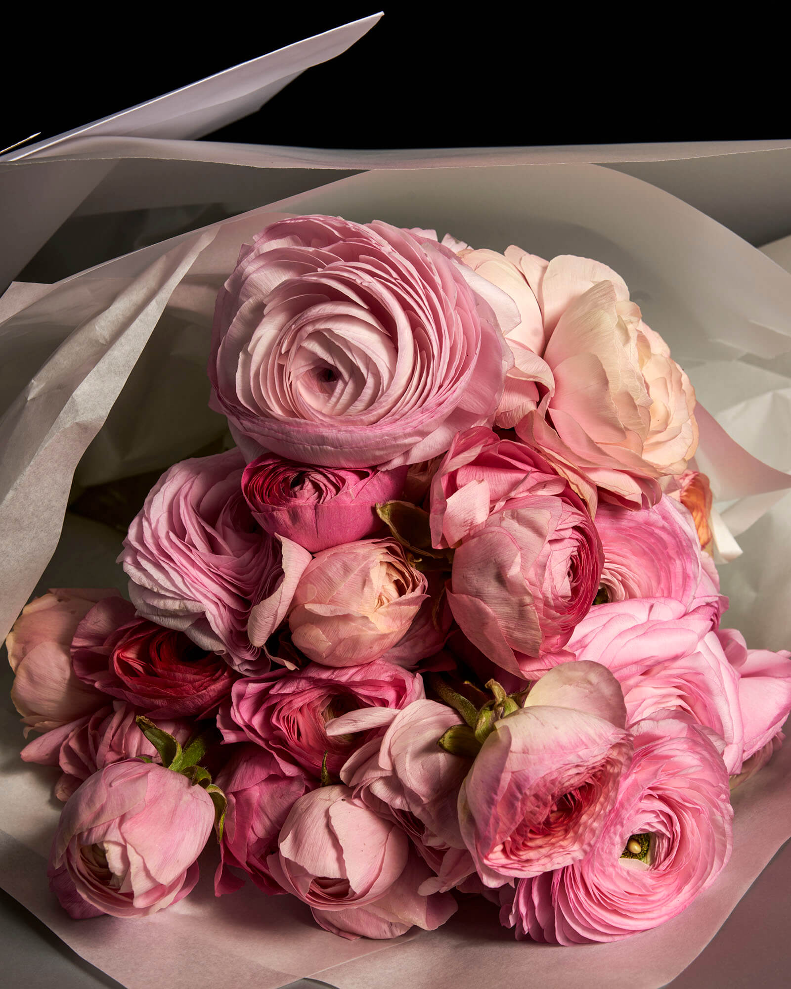 Single Species Online Flower Delivery Sydney Grandiflora