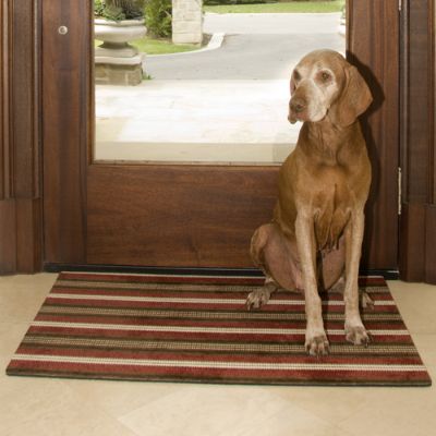 Designer Ecofriendly Pet Door Mat Grandin Road