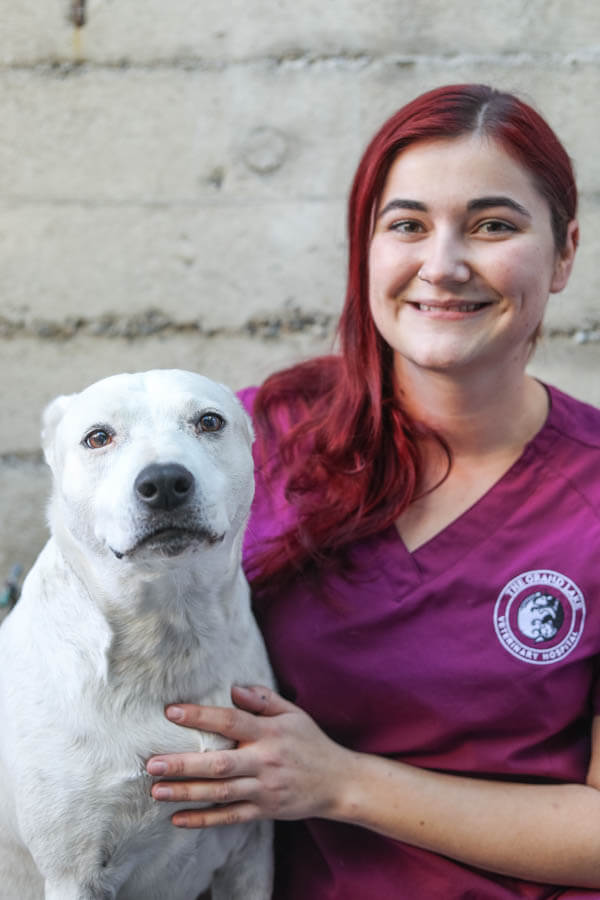 Veterinarians Near Me 94610 The Grand Lake Veterinary Hospital