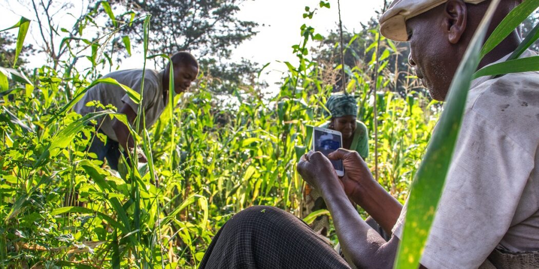 Sociologist seeks support for organic farming project in Togo PanAfricanNations
