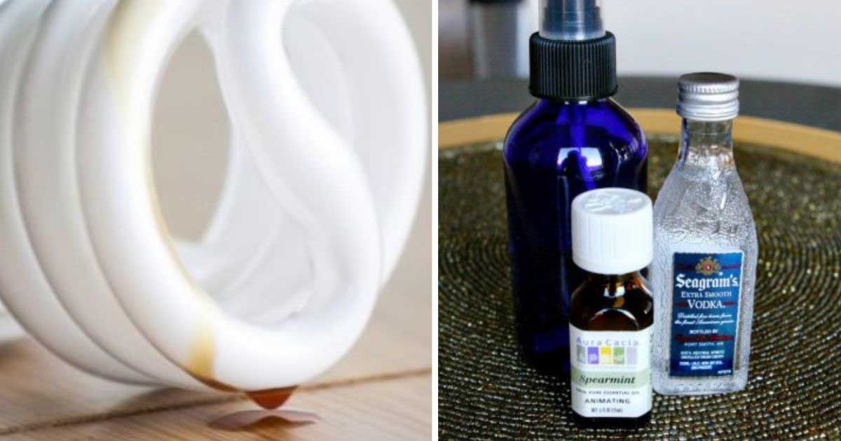 6 Natural Solutions For A Nice, FreshSmelling Home Grandma's Things