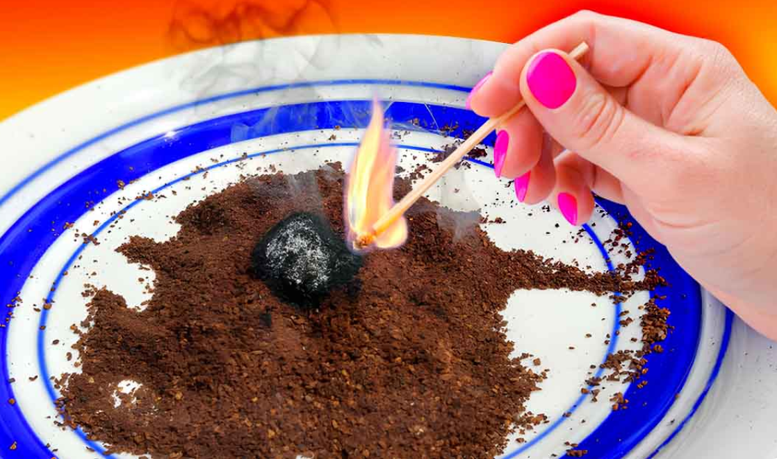 How to keep mosquitoes away with coffee grounds? Grandma's Things