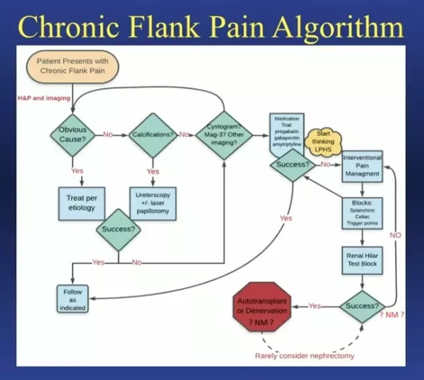 Wesley A. Mayer, MD Recurrent Flank Pain Treatment Algorithm