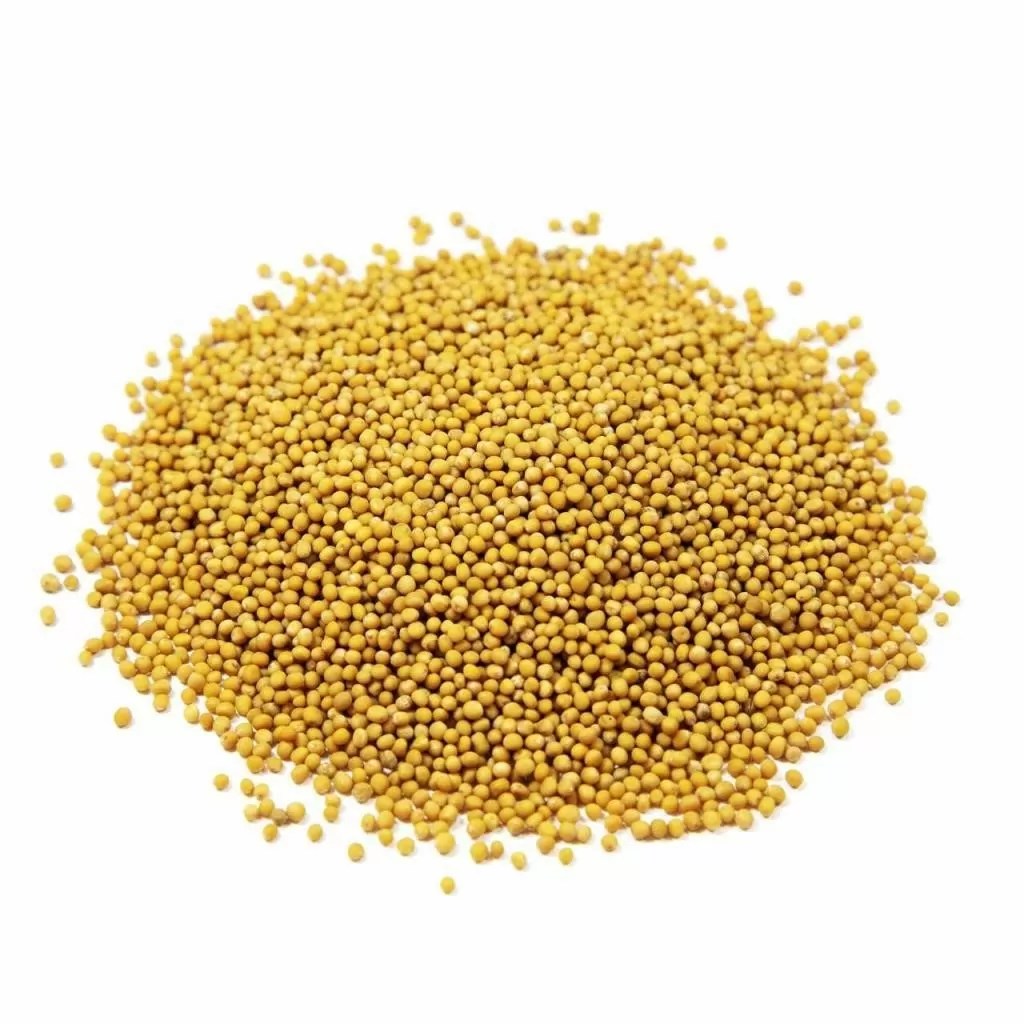 Mustard Seed Grand Bazaar Online Shopping