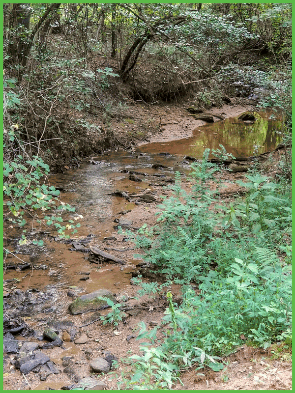 A Stream for Fun and Learning at Grand View Campground ⋆ Grand View