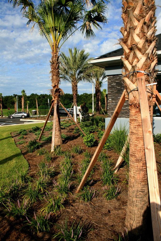 LANDSCAPING SERVICES & MAINTENANCE GRANDVIEW Ocala, FL