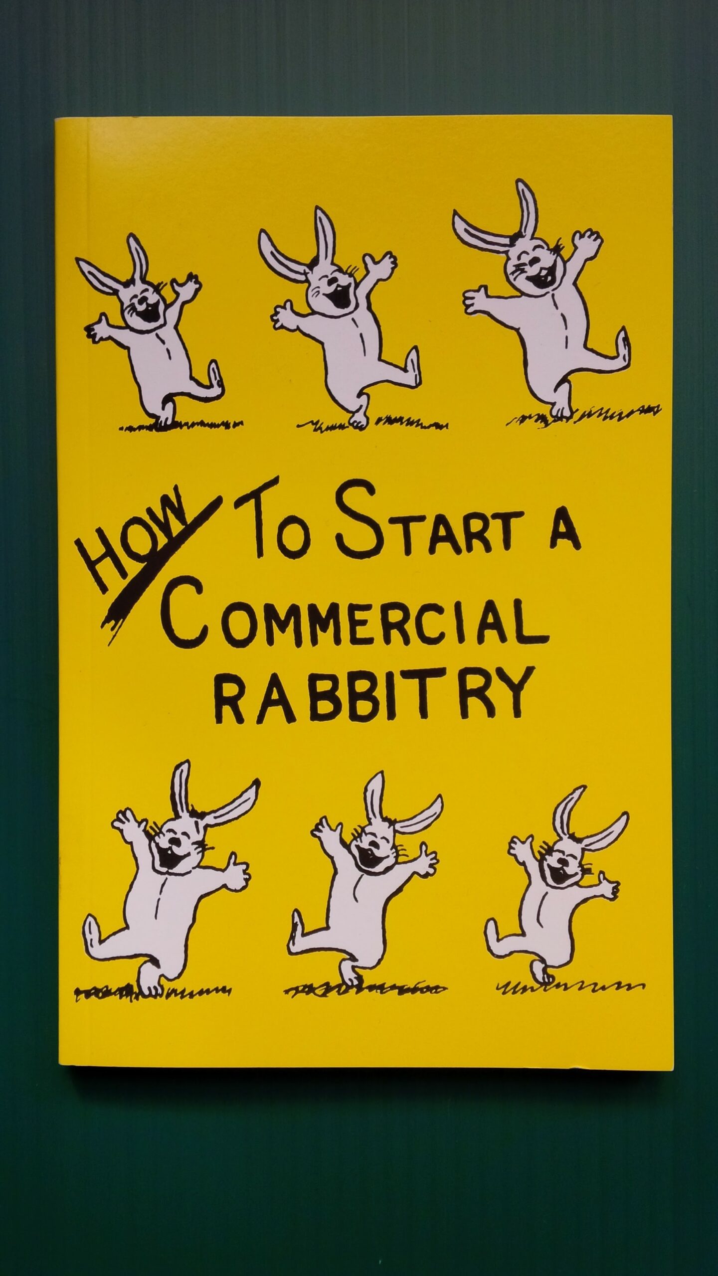 How To Start A Commercial Rabbitry Grandview Rabbitry