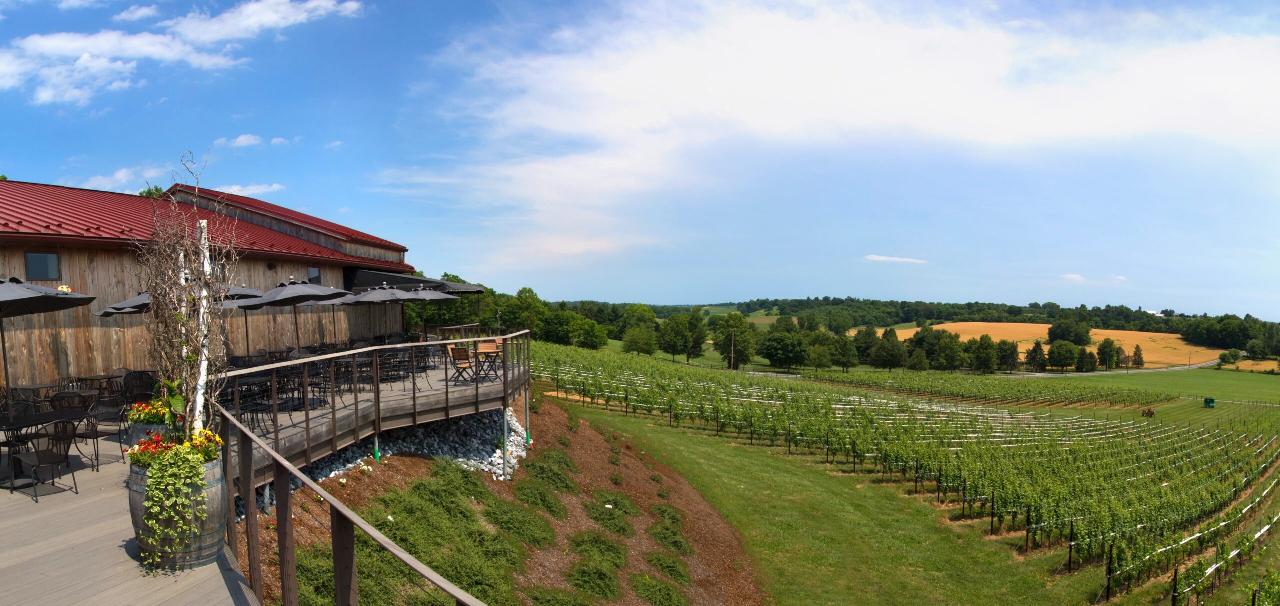 Deck Opening Celebration at Grandview Grandview Vineyard