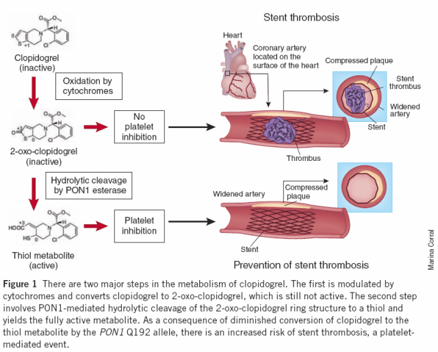 Clopidogrel Grange Blanche