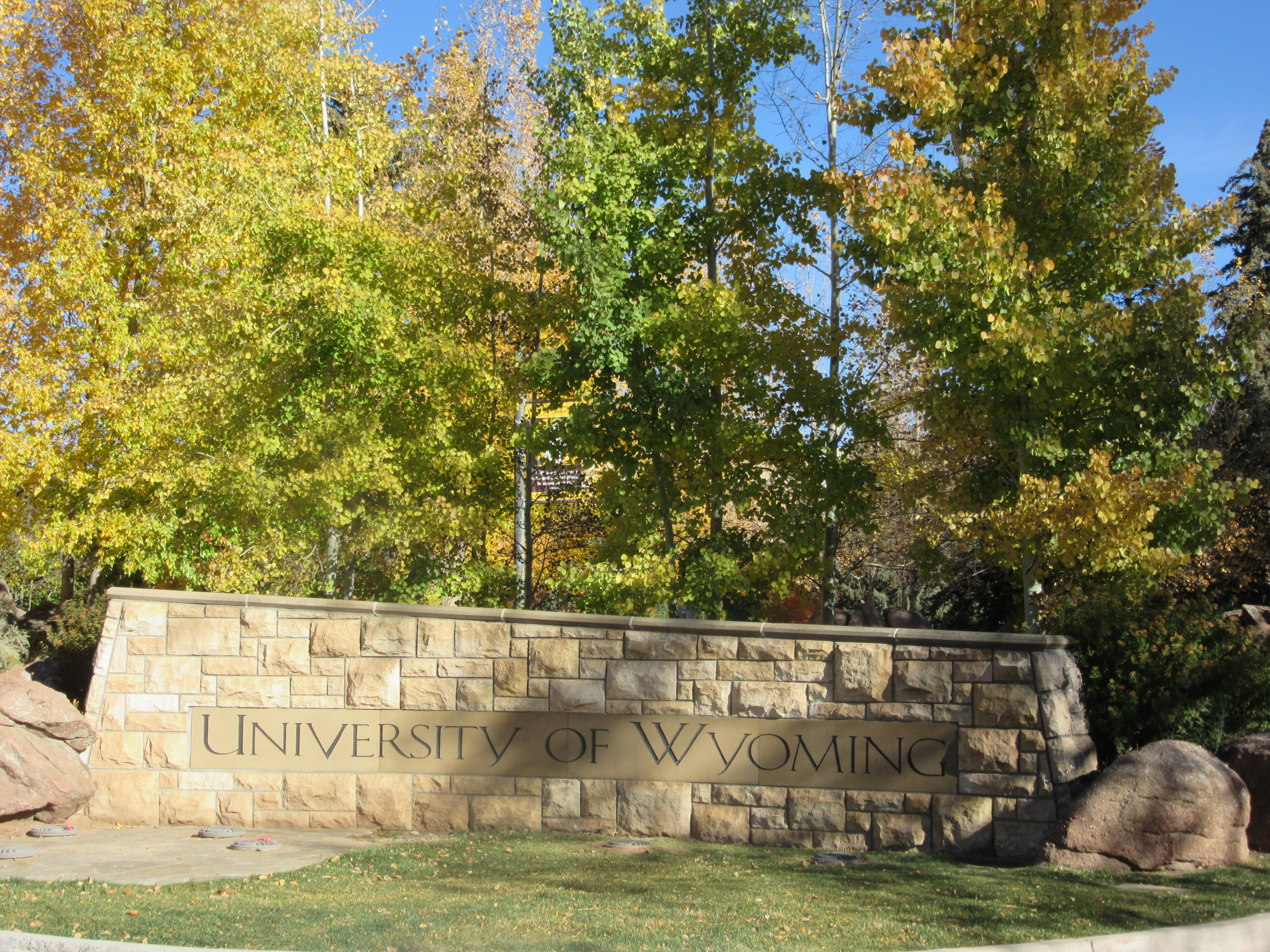Wyoming Homecoming--A Novel Fulton County Library System