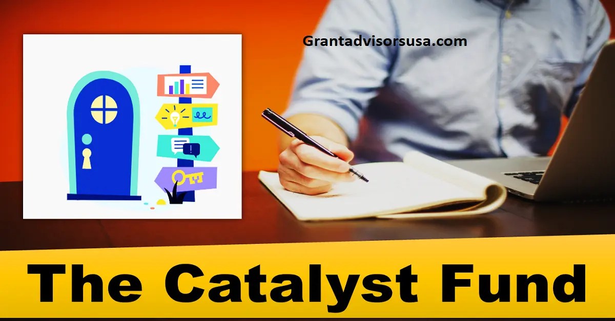 The Catalyst Fund for Blackidentifying Entrepreneurs at helloalice