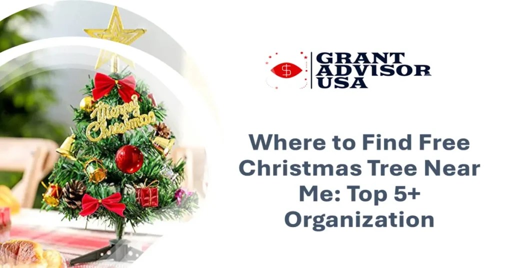 Where to Find Free Christmas Tree Near Me Top 5 Organization