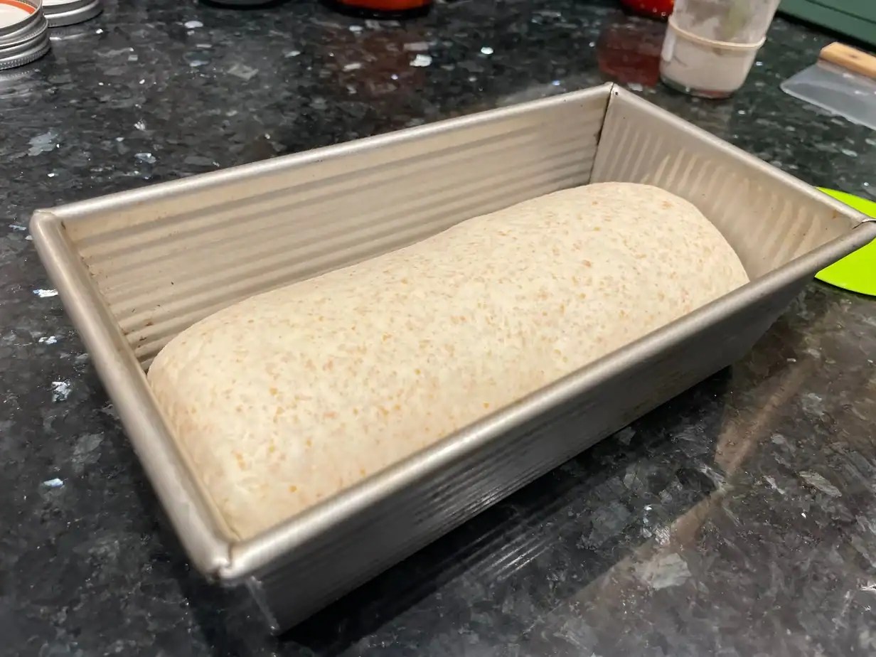 Low FODMAP Sourdough Bread Recipe Grant Bakes