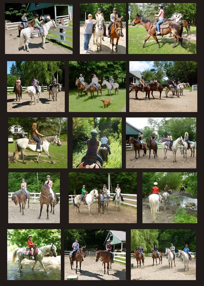 Top 4 Horseback Riding adventures in Upstate NY