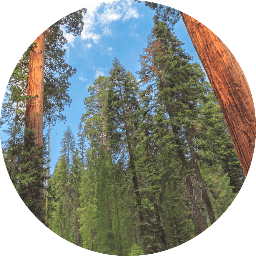 Recycled Glass Processing Incentive Grant Program, FYs 202425 and 2025