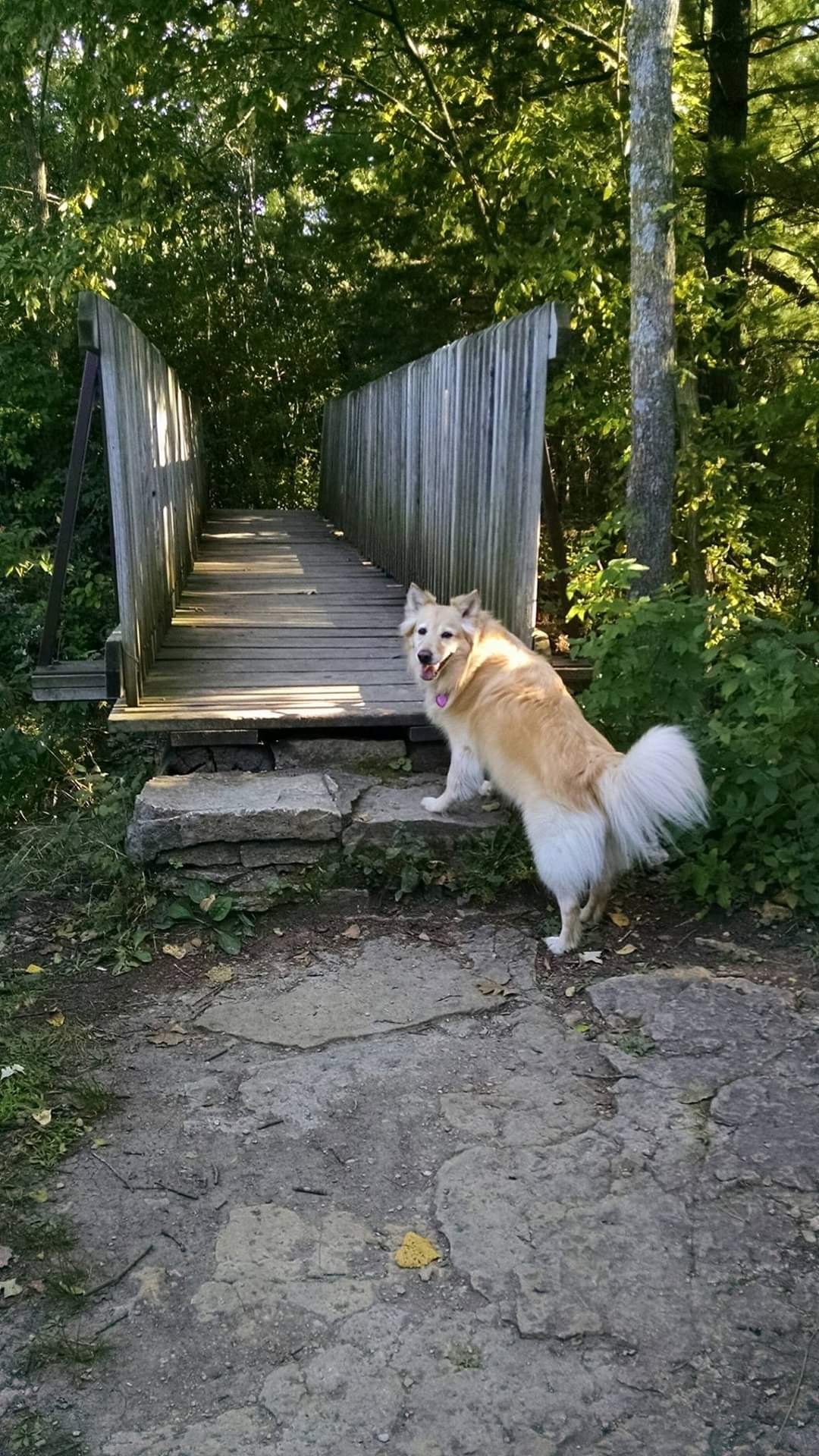 GAH & WRVC Patient Gallery Vet Clinic In Grantsburg, MI