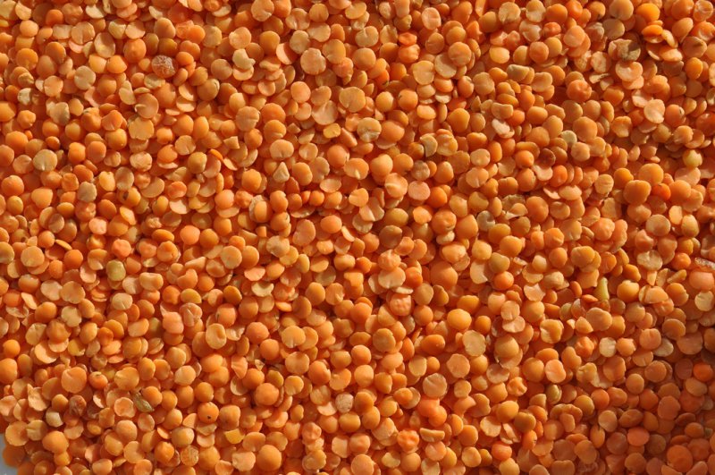 Sale of grain Granum LLC