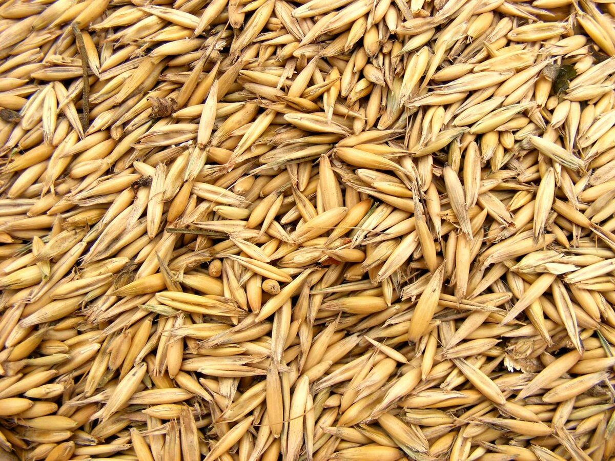 Sale of grain Granum LLC