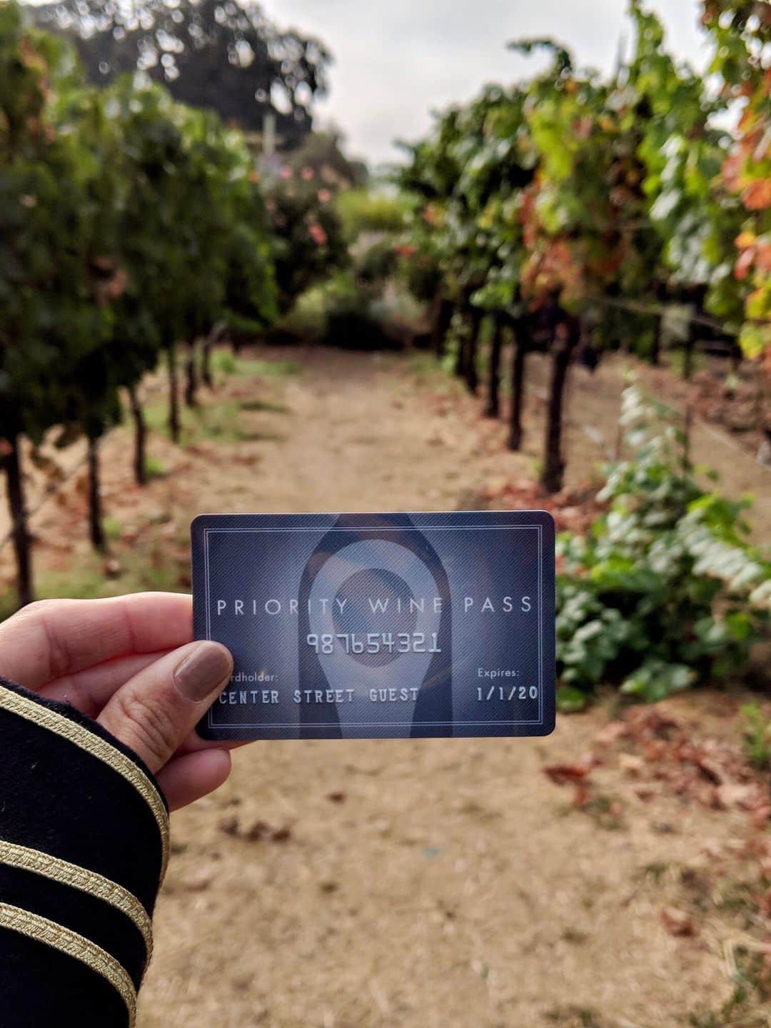 Priority Wine Pass FREE and Discounted West Coast Wine Tastings