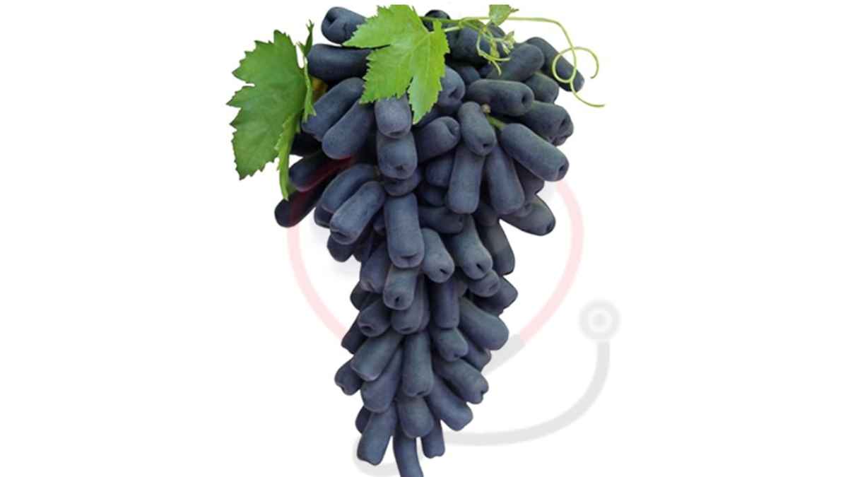 Moon Drop Grapes Origin, Nutrition, & Benefits