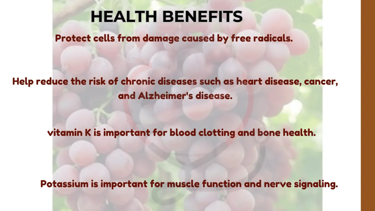 Red Globe Grapes Origin, Characteristics, Nutritional Benefits & Uses