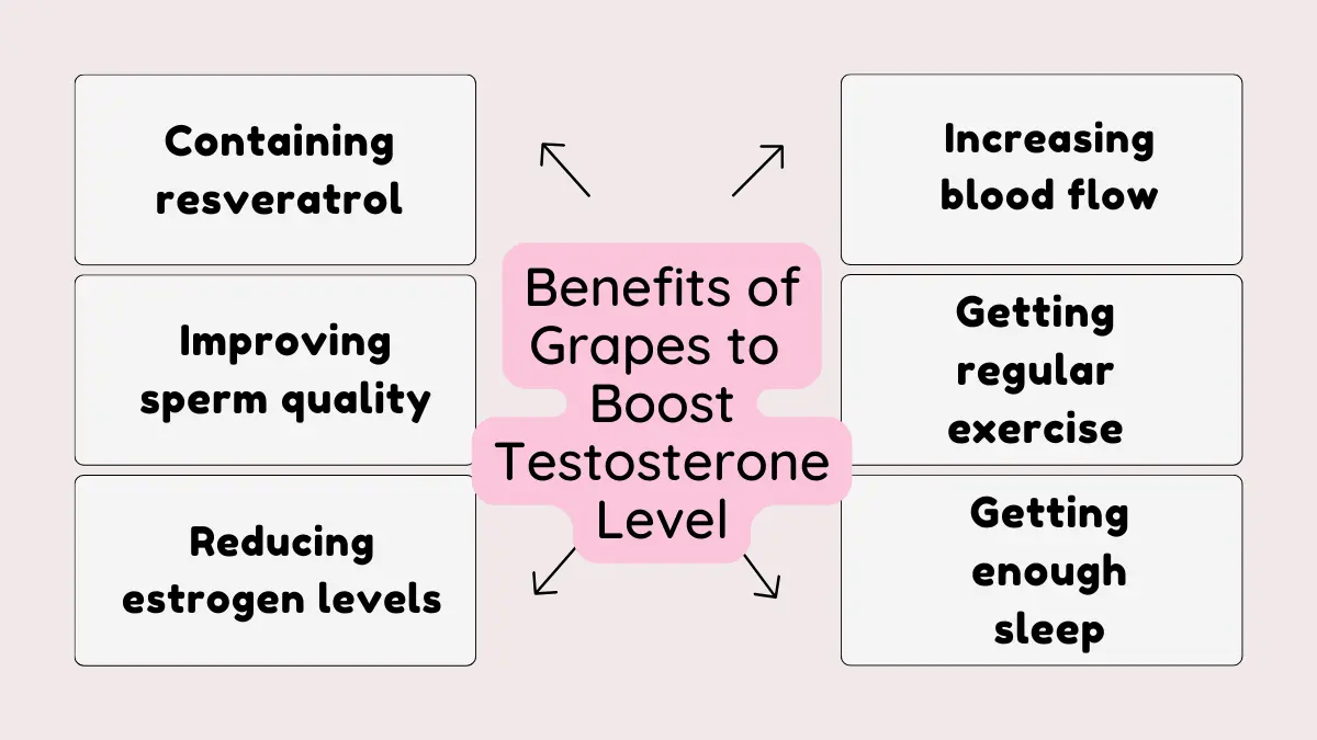 Benefits of Grapes to Boost Testosterone Level