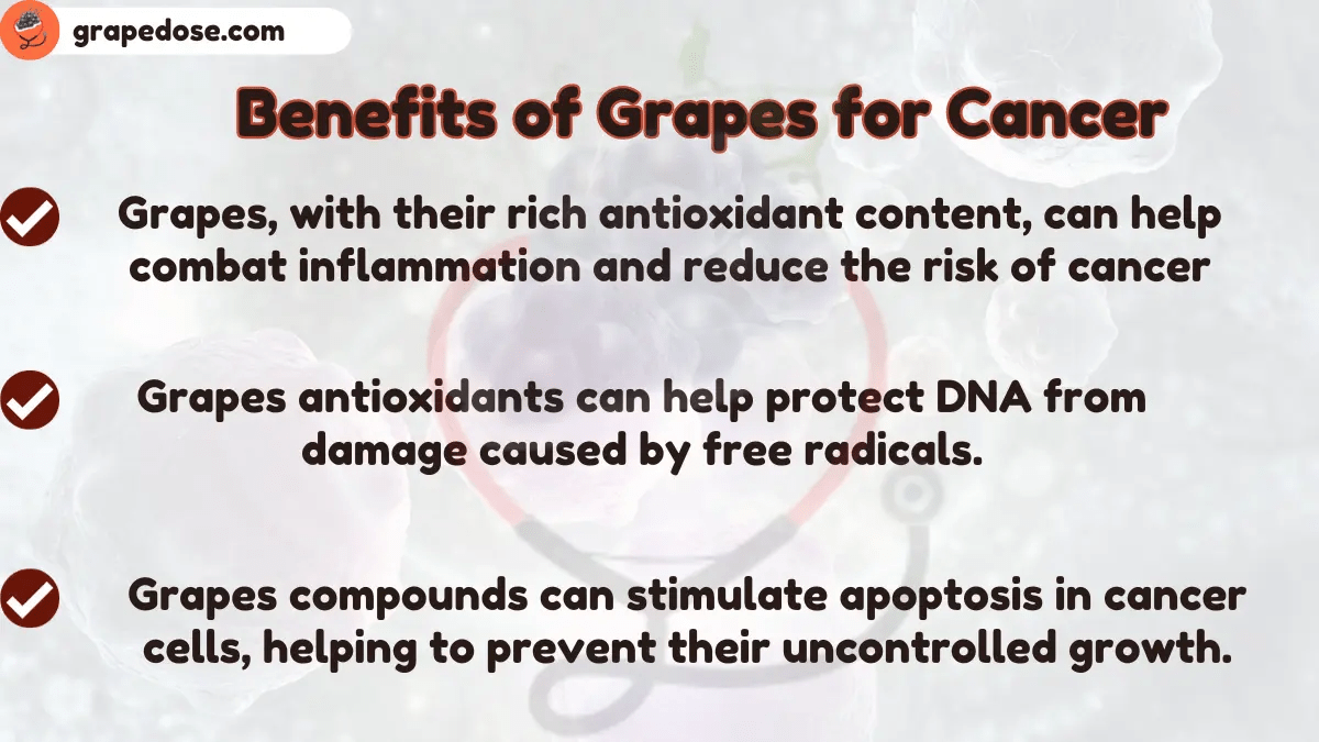 EvidenceBased Benefits of Grapes to Prevent Cancer
