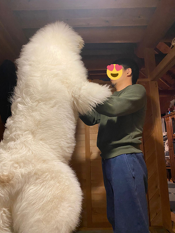 What Is The Biggest Fluffiest Dog