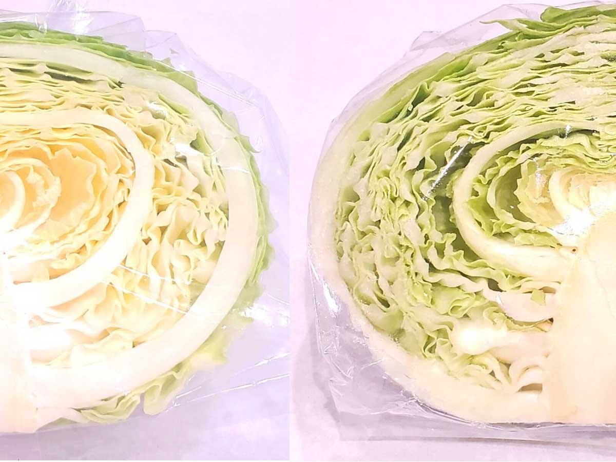 Always pick the freshest cabbage with Japanese produce specialist’s pro