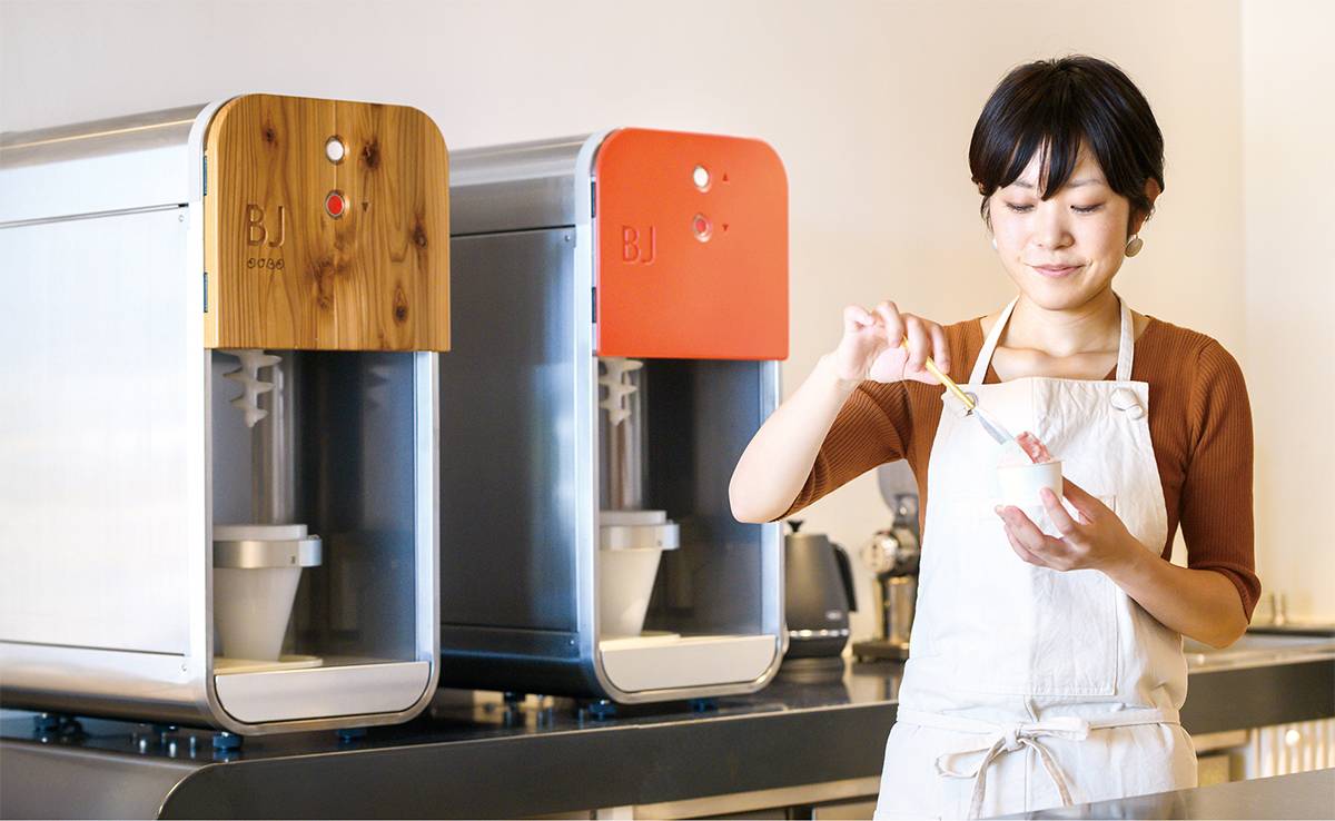 Ice Cream Blender BJ A Simple Approach To Enjoy Fresh Ingredients