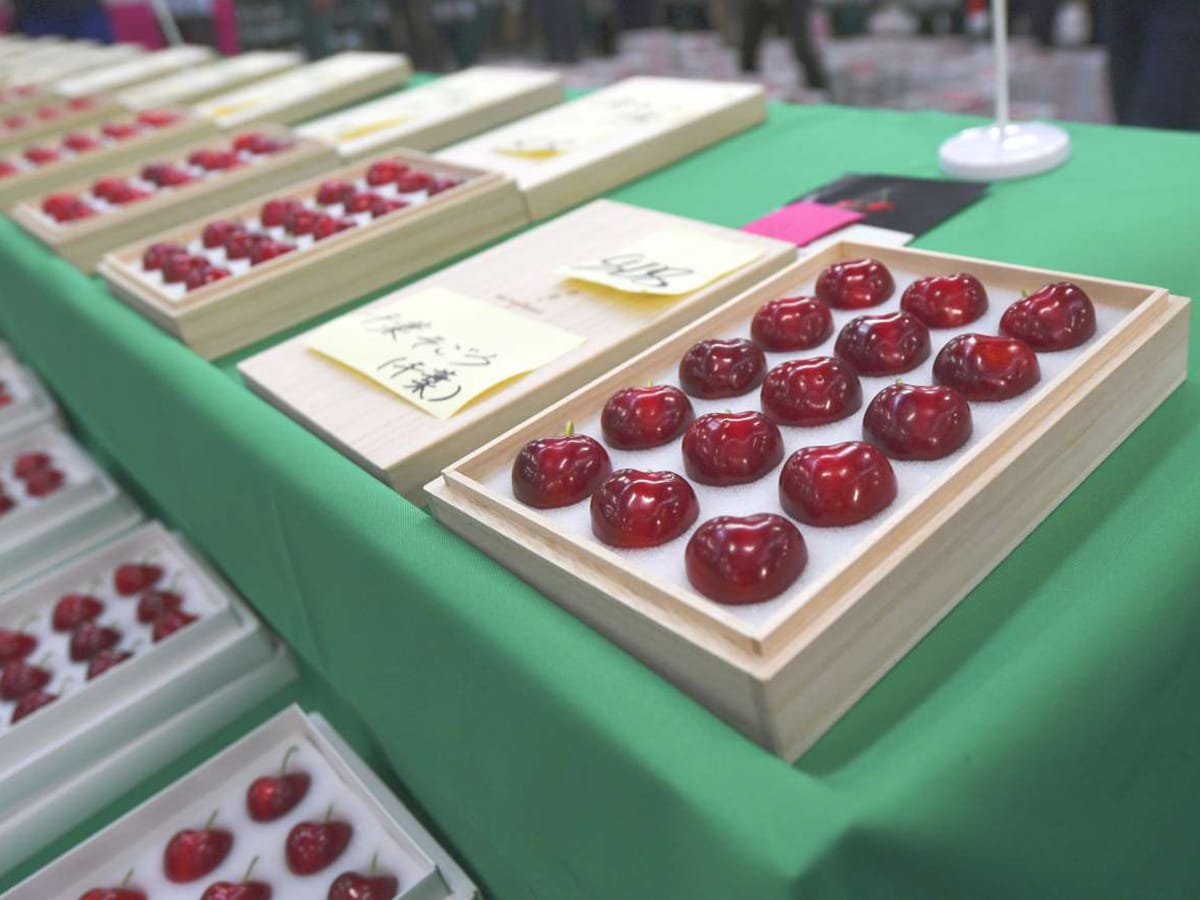 An Auction 1st ¥40,000 Yen for a Single Cherry! grape Japan
