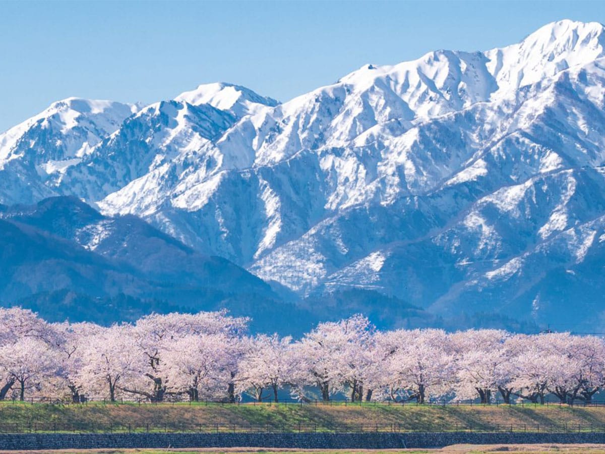 Soothing the soul with breathtaking photos of Japanese mountains
