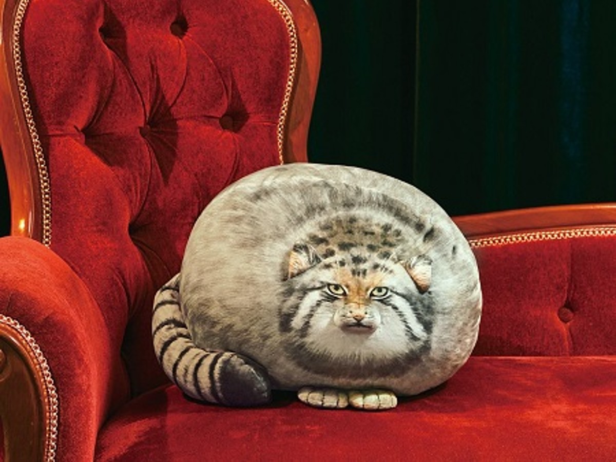 The too round and squishy Pallas’s Cat cushion plushie is a chonky cat