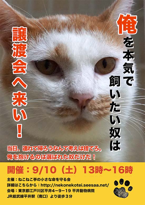 命の商品化”を考える Vol. 2】改正愛護法の飼育管理基準に関する議論…動物福祉と事業者 2枚目の写真・画像 | 動物 のリアルを伝えるWebメディア「Reanimal」 ネットで話題の『強気すぎる猫の譲渡会ポスター』 制作意図を聞いてみた！ – Grape [グレイプ]