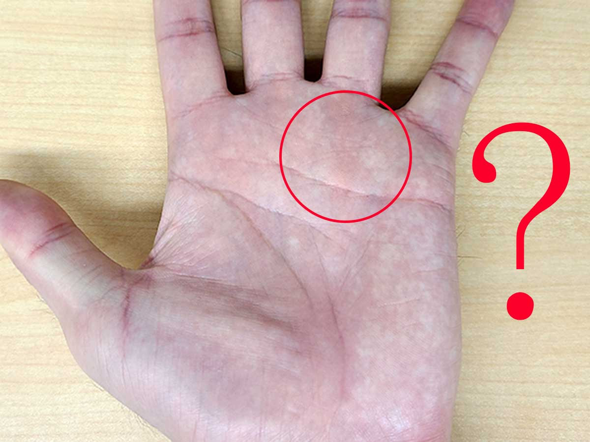 70以上 宝くじが当たる手相 画像 676286宝くじが当たる手相 画像