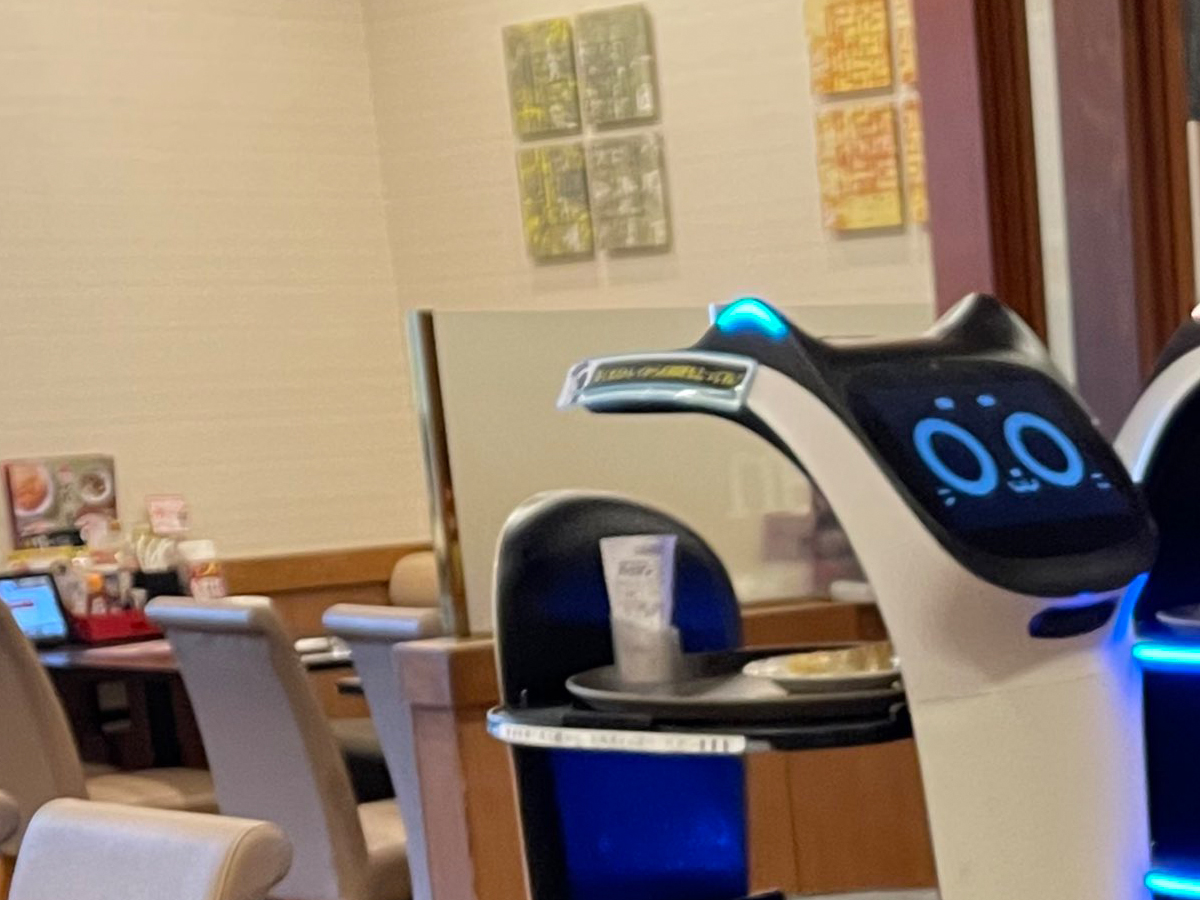 Japan’s cat robot waiters keep getting in fights with each other at