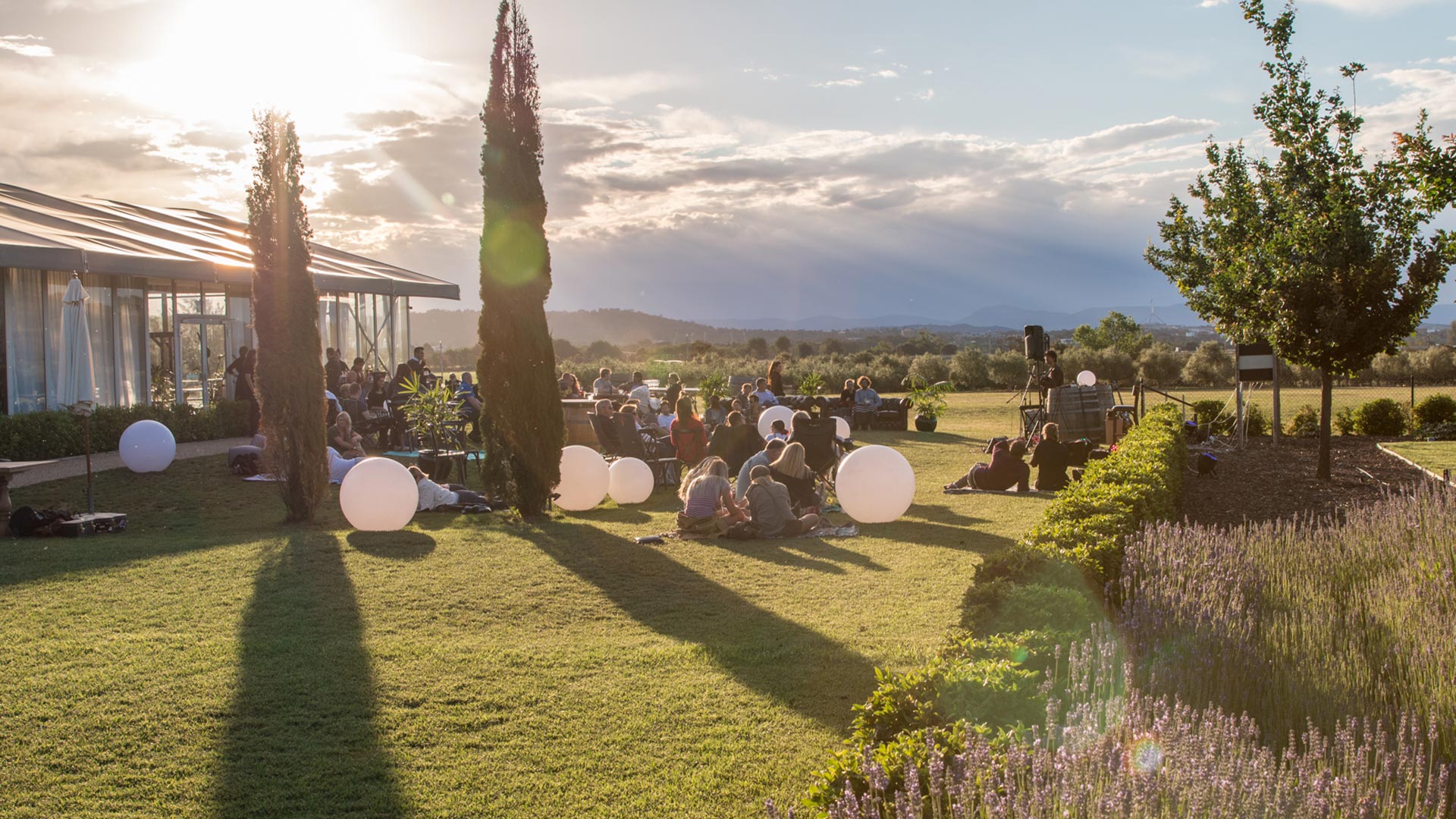 Pialligo Estate, Canberra, ACT Grapes of Mirth