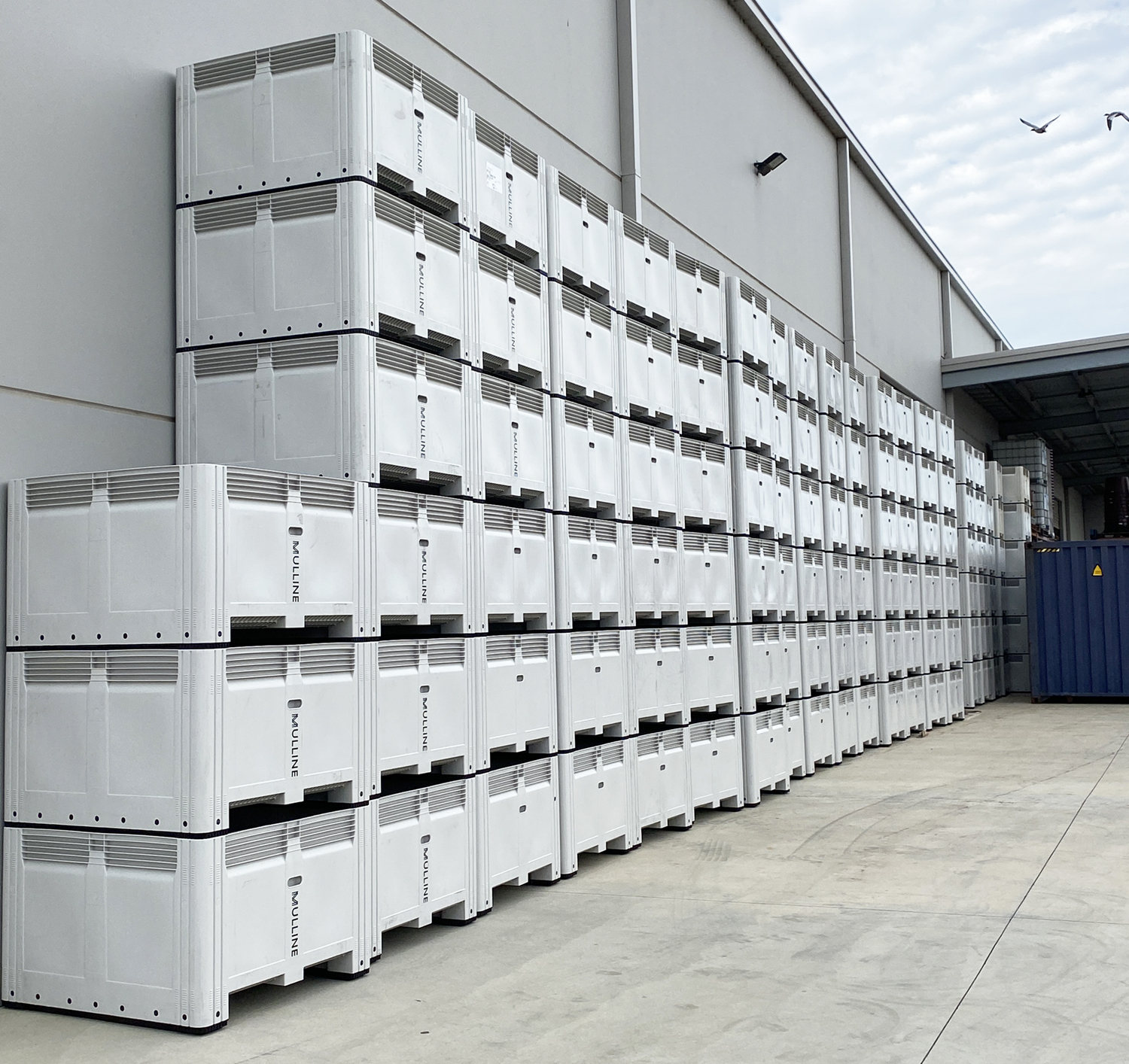 Nally Picking & Ferment Bins Grapeworks Tanium MachineryGrapeworks