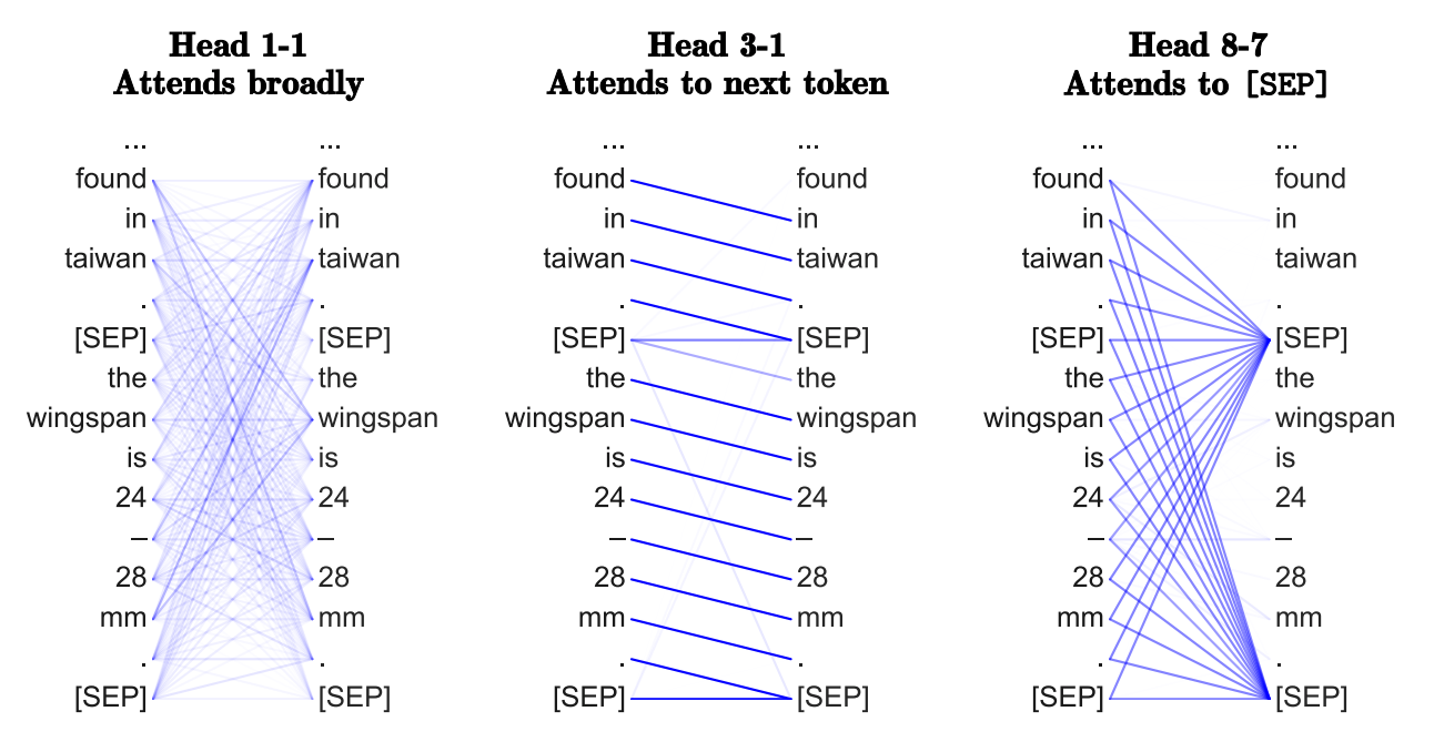 Graph Neural Networks Transformers are GNN Experfy Insights