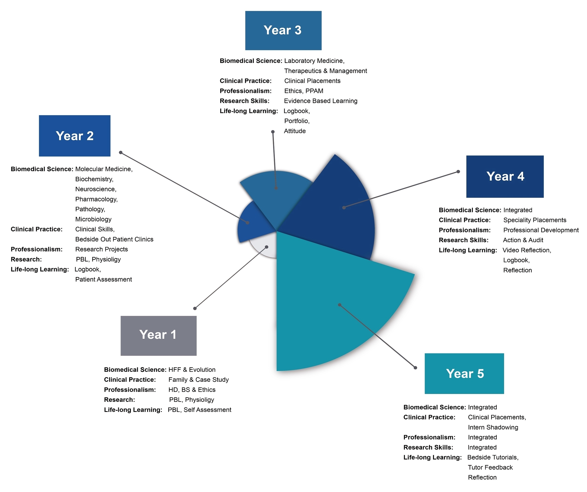 Medical School Curriculum Graph Diagram