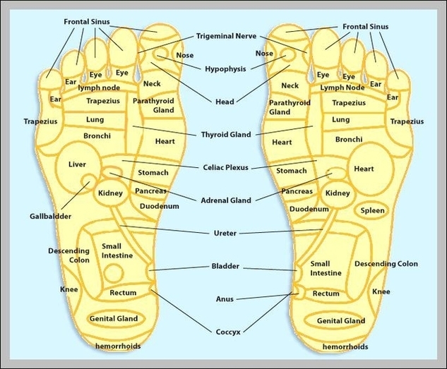 Pressure Points Map Image Graph Diagram
